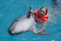 progammes de Nage Avec Les dauphins Ë Cancun