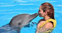 Riviera Maya Dolphin Trainer for a Day Program