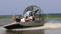 Florida Everglades Swamp Tour and Airboat Ride from Orlando