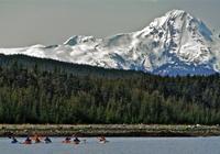 Channel Island State Marine Park Kayak and and Wildlife Tour