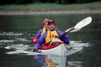 Tongass Wildlife Kayaking Adventure