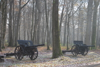 Excursion d'Une journée en petit groupe sur le thème de la Première Guerre mondiale au départ de Paris: champs de bataille d'Aisne-Marne, Bois Belleau et musée de la Grande Guerre