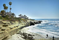 La Jolla and Mission Beach Trolley Tour