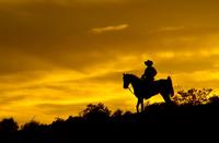 Wild West Sunset Horseback Ride with Dinner