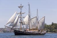 Sydney Harbour Afternoon Tall Ship Discovery Cruise