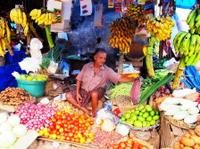 Kochi Food Tour