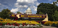 Big Bus Washington DC Hop-On Hop-Off Tour