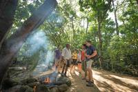 Tour cultural aborigen a la selva tropical de Daintree desde Cairns o Port Douglas Tour cultural aborigen a la selva tropical de Daintree desde Cairns o Port Douglas