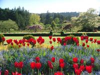 Victoria Day Trip from Seattle with Butchart Gardens