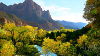Excursion d'Une Journée au Parc national de Zion au départ de Las Vegas