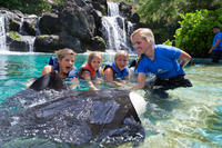 Hawaiian Reef and Ray Encounter at Sea Life Park Hawaii