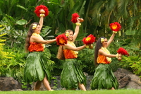 Excursion en bord de mer à Oahu: littoral Nord et Centre culturel polynésien