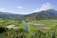 Kauai Movie Sites Tour