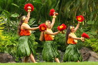 Oahu Shore Excursion: North Shore and Polynesian Cultural Center