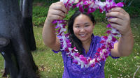 Honolulu Honeymoon Airport Lei Greeting