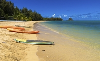 Excursion sur la plage de Secret Island au Kualoa Ranch