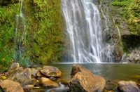 Randonnées Dans les cascades Est et la forêt équatoriale de Maui