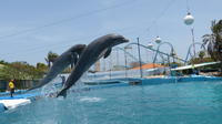 Adgangsbillet til Waterland Adgangsbillet til Waterland