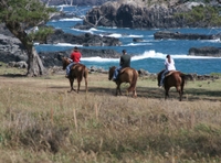 Promenade à cheval à Maui with déjeuner-barbecue en option de