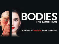 Bodies L'exposition au Luxor Hôtel et Casino