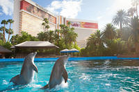 Siegfried & Roy's Secret Garden and Dolphin Habitat at the Mirage Hotel and Casino