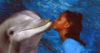 Secret Garden et Dolphin de Siegfried & Roy Habitat au Mirage Hôtel et Casino