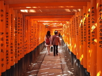 Fushimi Inari et visite d'une brasserie de saké juin