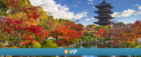 Viator VIP: Special Access to To-ji Temple with Resident Monk
