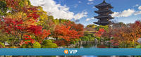 VIP Viator: non Accès spécial au temple To-ji Avec des moines