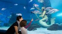 Skip the Line: SEA LIFE Melbourne Aquarium Admission Ticket