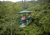 Aerial Tram and Zipline Tour from Jaco