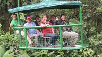 Aerial Tram Tour of Braulio Carrillo National Park