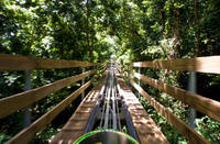 Ocho Rios Shore Excursion: Bobsledding Tour at Mystic Mountain