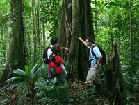 Rainforest Adventure from San Jose