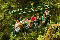 Rainforest Adventures Aerial Tram Tour