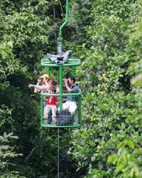 St Lucia Shore Excursion: Aerial Tram et Rainforest Tour de