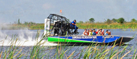 Billet pour une aventure en hydroglisseur Dans les Everglades de Floride et une rencontre with la faune et la flore