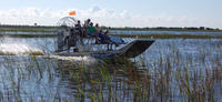 Private Tour: Florida Everglades Airboat Ride and Wildlife Adventure 