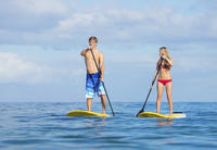 Stand Up Paddling Mangrove Lagoon Tour