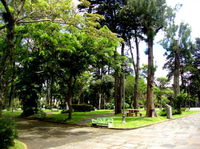 Recorrido a pie por San José: Comida, historia y arquitectura Recorrido a pie por San José: Comida, historia y arquitectura