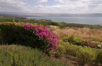 Haifa Shore Excursion: Private Nazareth and Sea of Galilee Day Trip