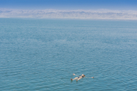 Visite privée: circuit d'Une journée à la découverte des sites, plus beaux d'Israël, y compris le vieux Jérusalem, le Mur des Lamentations et la mer Morte, au départ de Tel Aviv