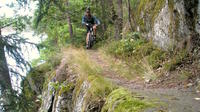 Advanced Mountain Bike Single Track Ride around Stockholm