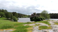 Mountain Bike Ride In The Parks Of Stockholm