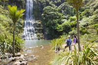Randonnée guidée Dans la chaîne des Waitakere au départ d'Auckland