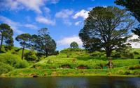Visite des grottes de Waitomo et de Hobbitebourg, lieux de tournage du film Le Seigneur des Anneaux, au départ d'Auckland transport with privé