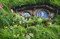 Visite du décor de Hobbiton where FUT tourné le film Le Seigneur des Anneaux au départ d'Auckland, with transfert privé