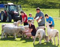 Agrodome Sheep Show and Farm Tour