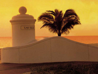 Excursion à terre à Fort Lauderdale: visite privée de la ville de Miami avant ous après la croisière