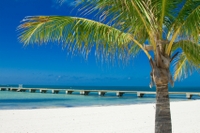 Voile et plongée libre à Key West au départ de Miami